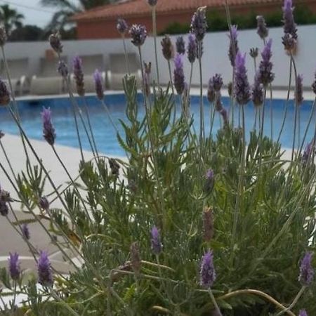 Villa Marti Calpe Buitenkant foto