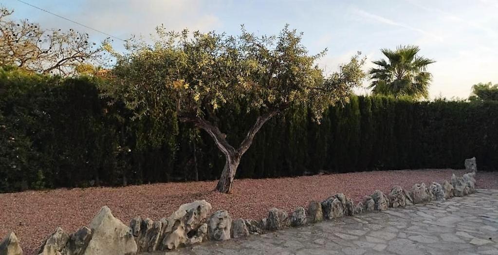 Villa Marti Calpe Buitenkant foto