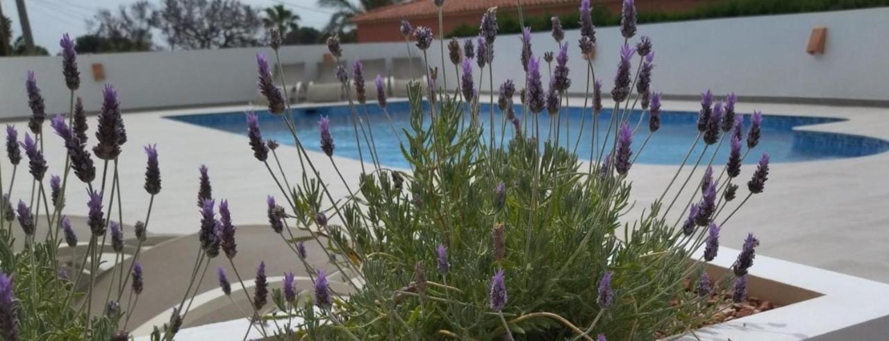Villa Marti Calpe Buitenkant foto